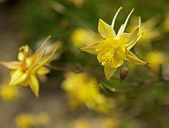 幽默风格撤离射击新作《逃离鸭科夫》上市日期公布