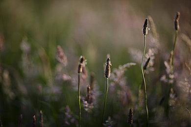 《凯恩的遗产1+2复刻版》PC配置需求公布 GT620可玩